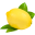 citrom